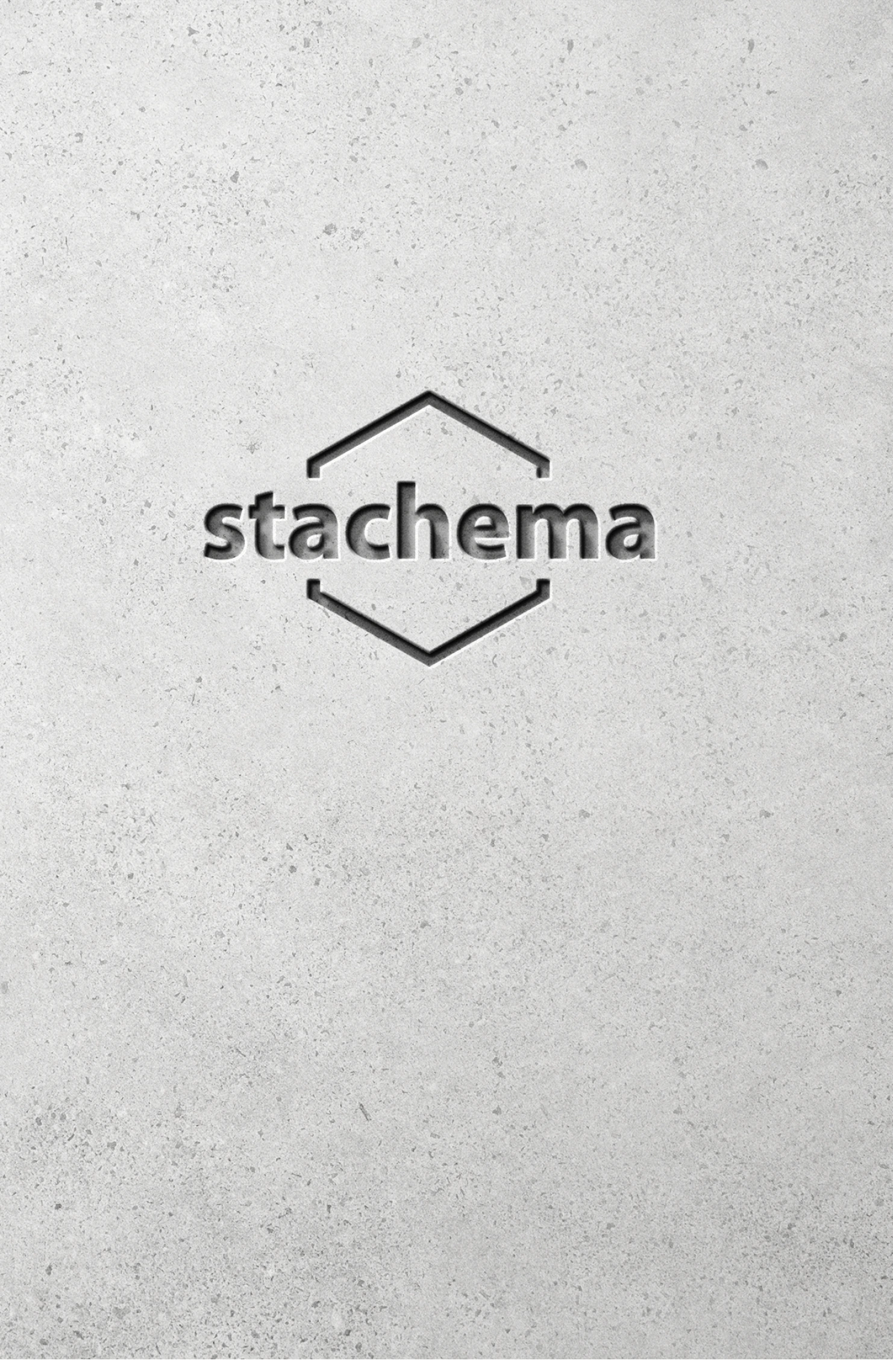 Logo Stachema